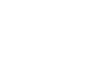 Playvibe Logo